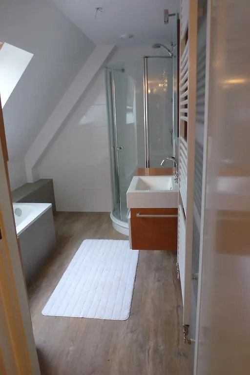 אלסמיר Schiphol Apartments 0*,